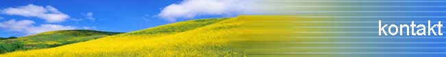 kontakt